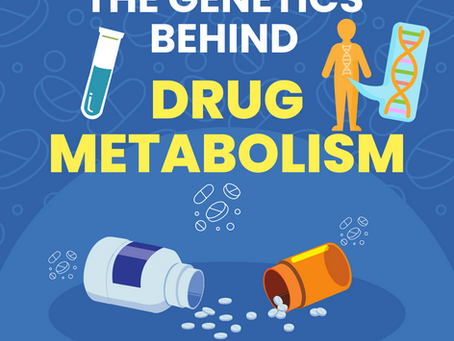 Drug Metabolism