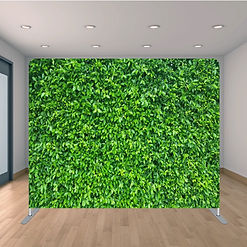 Boxwood Backdrop