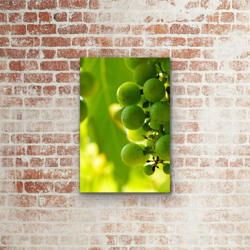 Vineyard Digital Download Photo Print