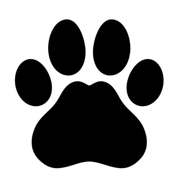 Paw print cake or cupcake toppers icing or wafer