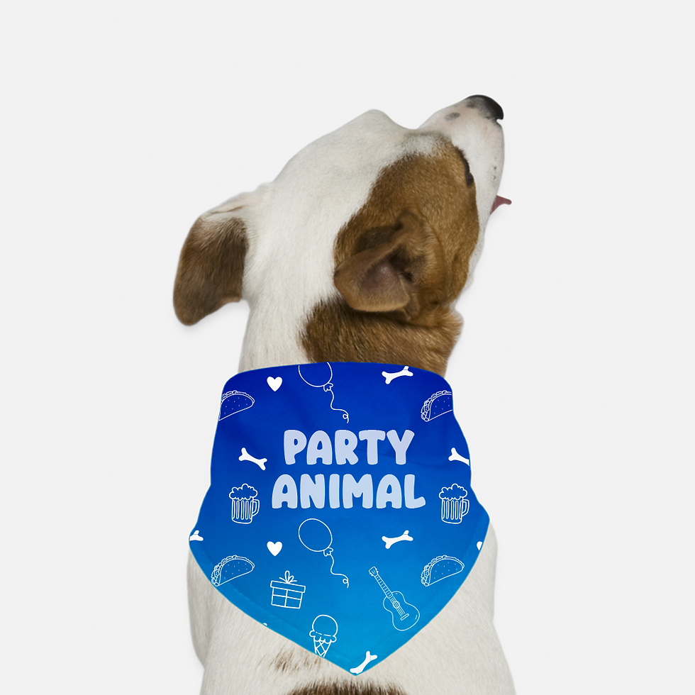 a dog wearing a branded banana for fetch fest
