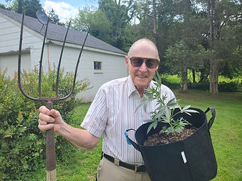 Elderly man holding a cannabis plant