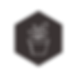 SPROUT ICON
