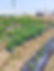 S__109494429_0_edited.jpg