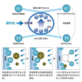【光触媒サービス】