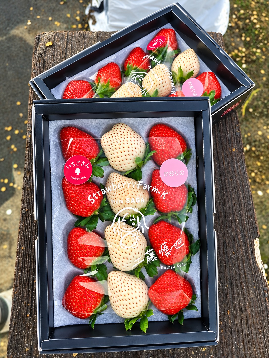 S__9265164.jpg