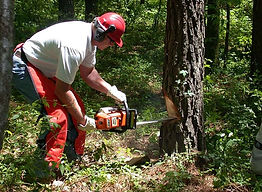 man-cutting-tree-using-red-and-black-cha