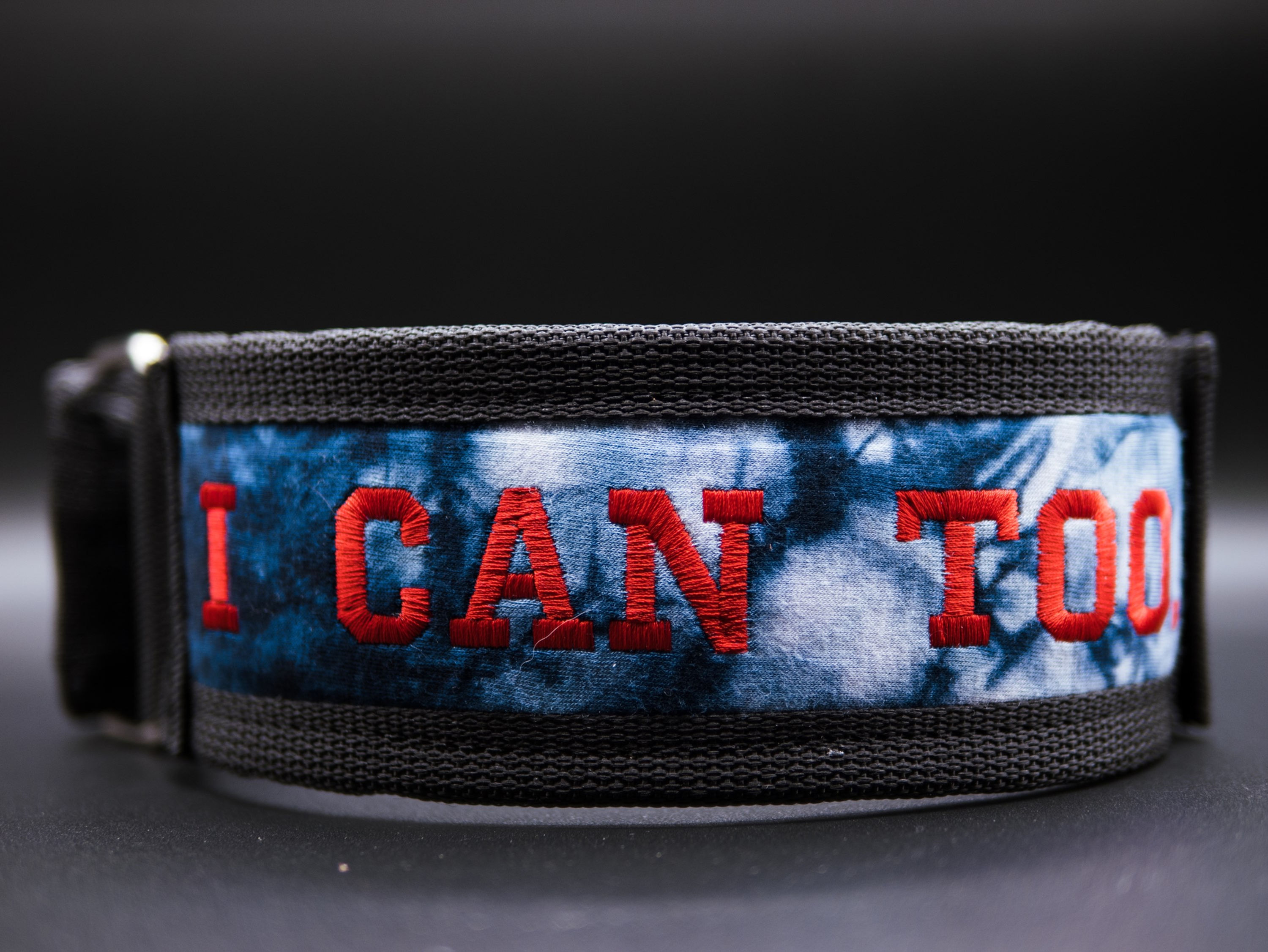 Taylor Wilkins I Can Too Belt