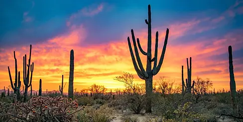 AZHeader4-1568x790.jpg.webp