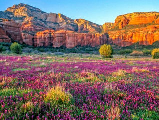 Sedona Natur