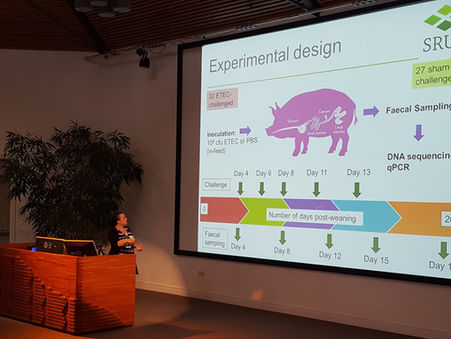 Teaching AI how to PowerPoint!