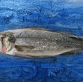 Branzino-OilLegno-15x25-2021.jpg
