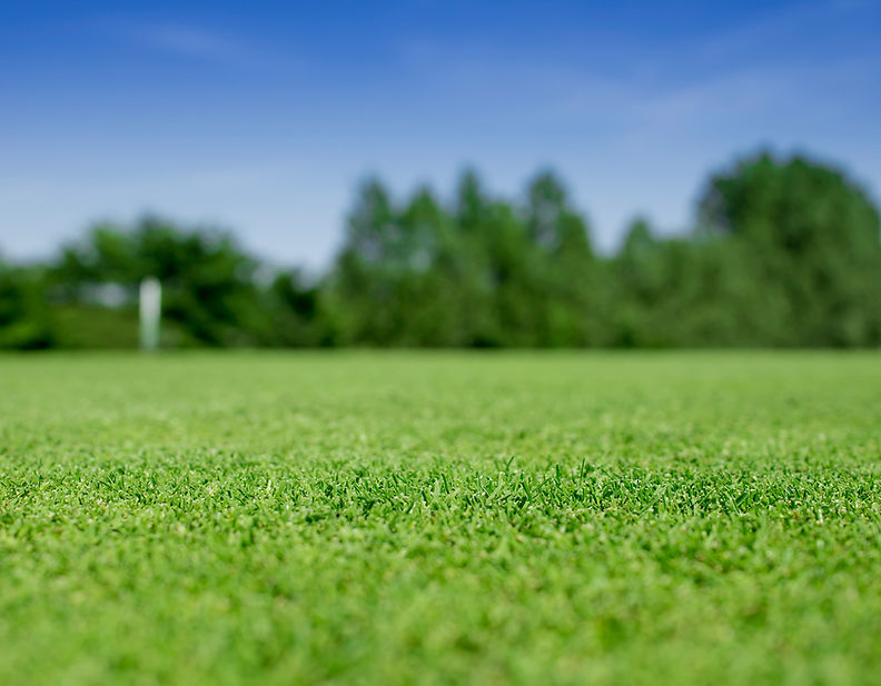 Gazon met kunstgras