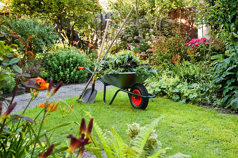 Seizoensgebonden tuinonderhoud