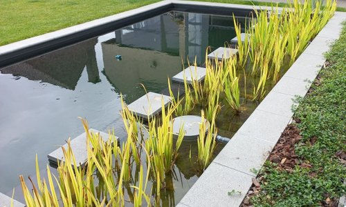 Total Garden projects - siervijver of zwemvijverjver met zijdelings moeras