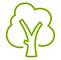 Bomen planten