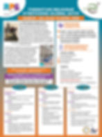 Formation Belgique Stretching Global Actif