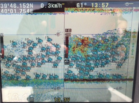 5月14日(土)開放します。