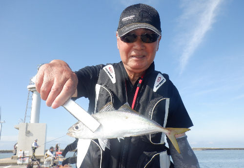 先端部にての釣果