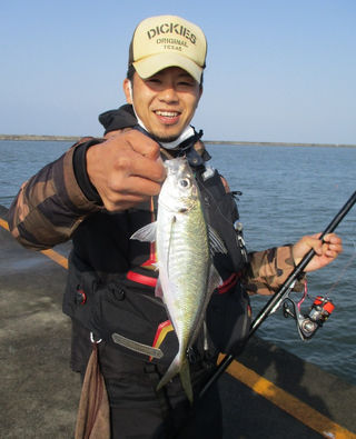 釣果情報 お知らせ 秋田港釣り 北 防波堤