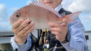 10月3日(土)の釣果報告