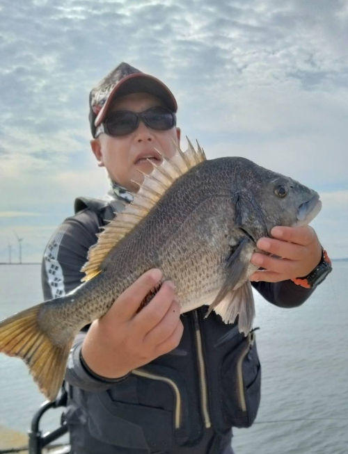 49㎝ ダンゴ釣り 500m