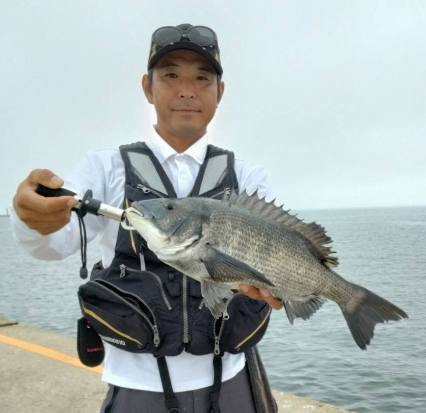 常連さんがこれまた立派なクロダイをゲット