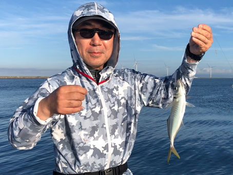 7月20日(日)の釣果情報