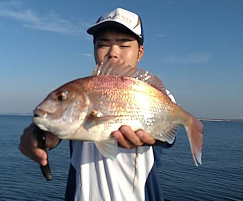 朝陽に輝く魚体 少しピンボケですが綺麗な反射 微妙なぼかしでアイシャドー入れてます(笑)