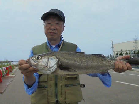 8月10日AM 釣果速報