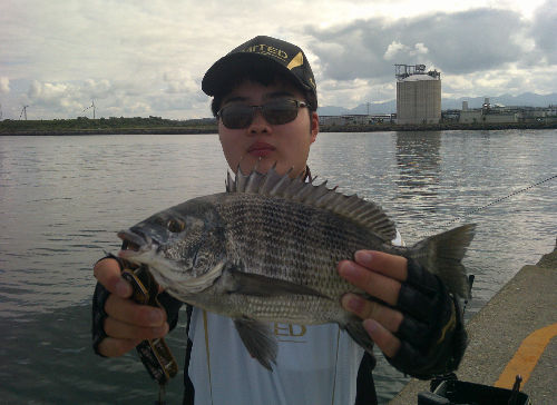 マダイに引き続きクロダイ!お見事!