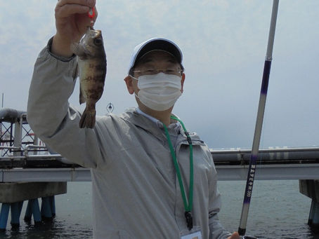 6月6日(日)釣果情報