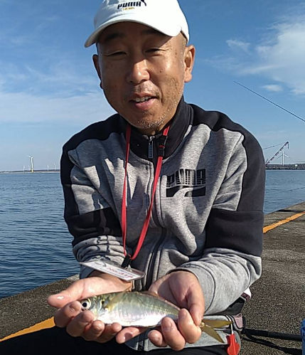 常連さんは泳がせ用豆アジ狙っているのに、何故か良型25㎝クラスが既に10匹!座布団ヒラメ用ですね~(笑)
