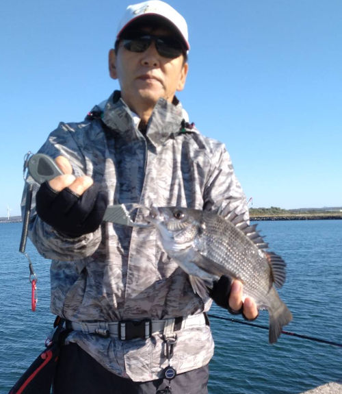 35㎝370m付近の男鹿側 ウキフカセ釣り ネリエサ