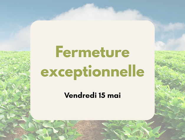 Publication Facebook Vacances d'hiver Fermeture Entreprise Moderne Beige Marron.png