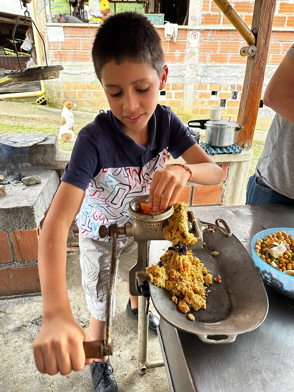 Miniatura: Castillo Lavado Ferm. Extendida