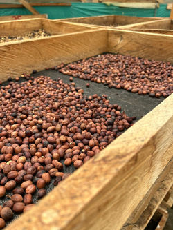 adcd2046-d4c7-4789-a1f2-6fa213eb7c4d