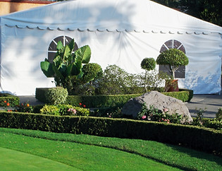 Carpa 2_edited.jpg
