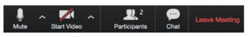 zoom icons 1.jpg