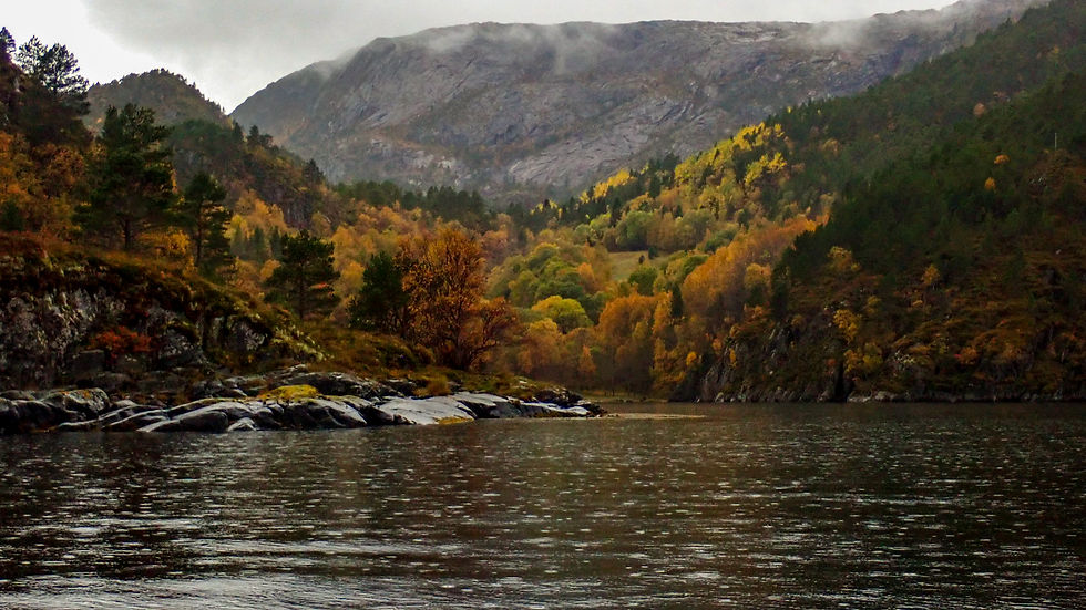 Orklandkysten (45)