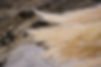 DSC05869.JPG