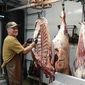 BEEF, BEEFALO, BUFFALO, LLAMA, YAK & EXOTICS
Cut and wrap charges are $.95/lb, $95.00 minimum.
Boneless cuts are $10.00 per item not limited to New Yorks, Boneless Rib Eyes, Flat Irons.
LARGER ANIMALS
900 lb. and over the charge is $1.05/lb. and add an additional $.10/lb. for each additional 100 lb. of weight.
BURGER BEEF
Beef intended to be boned out for all or mostly burger is $.95/lb. for 2 lb. burger packs, $1.05/lb. for 1 1/2 lb. packs. We do not package 1 lb. packs for burger beef at this time.
We do have to pay for inedible scraps to be hauled away so there is a $4.00 per quarter disposal fee.
LAMBS, SHEEP & GOATS
$95.00 each or $.95/lb for animals over 100 lb.
Complete bone outs are $105.00 per lamb/goat under 100 lb. or $1.05/lb. over 100 lb.
