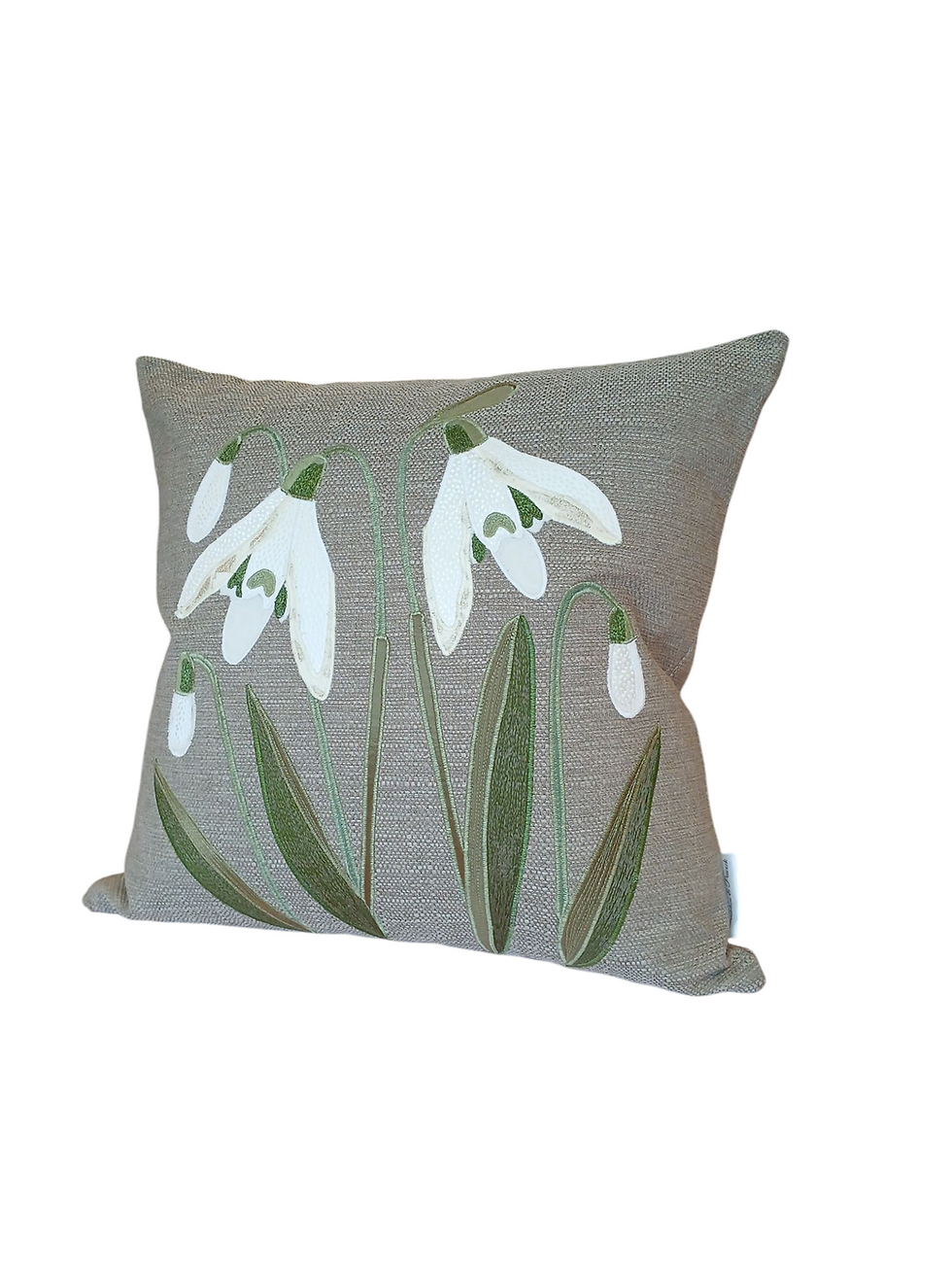 Thumbnail:  Snowdrops