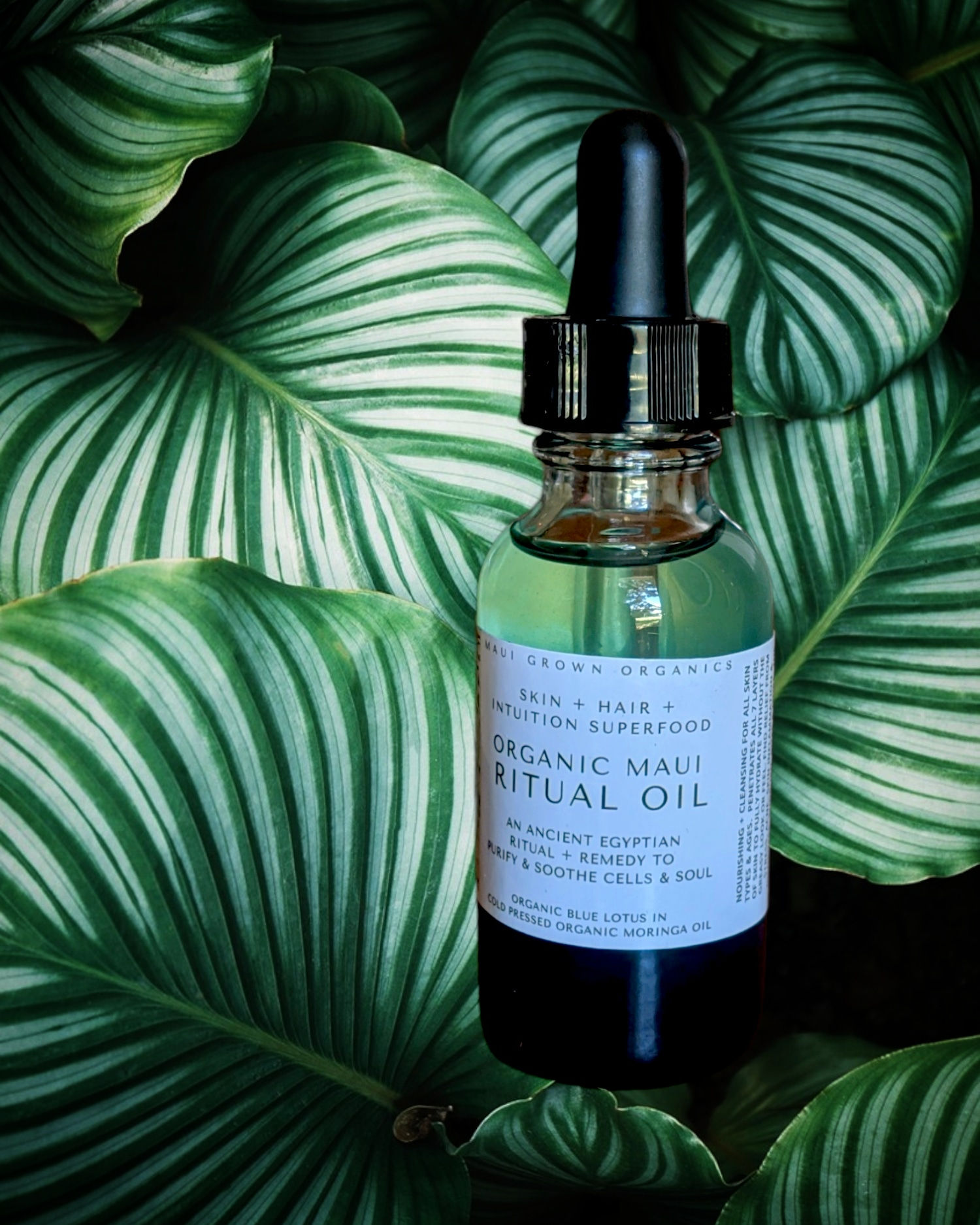 Maui Blue Lotus Ritual Oil