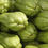 Thumbnail: Chayote Squash and Greens