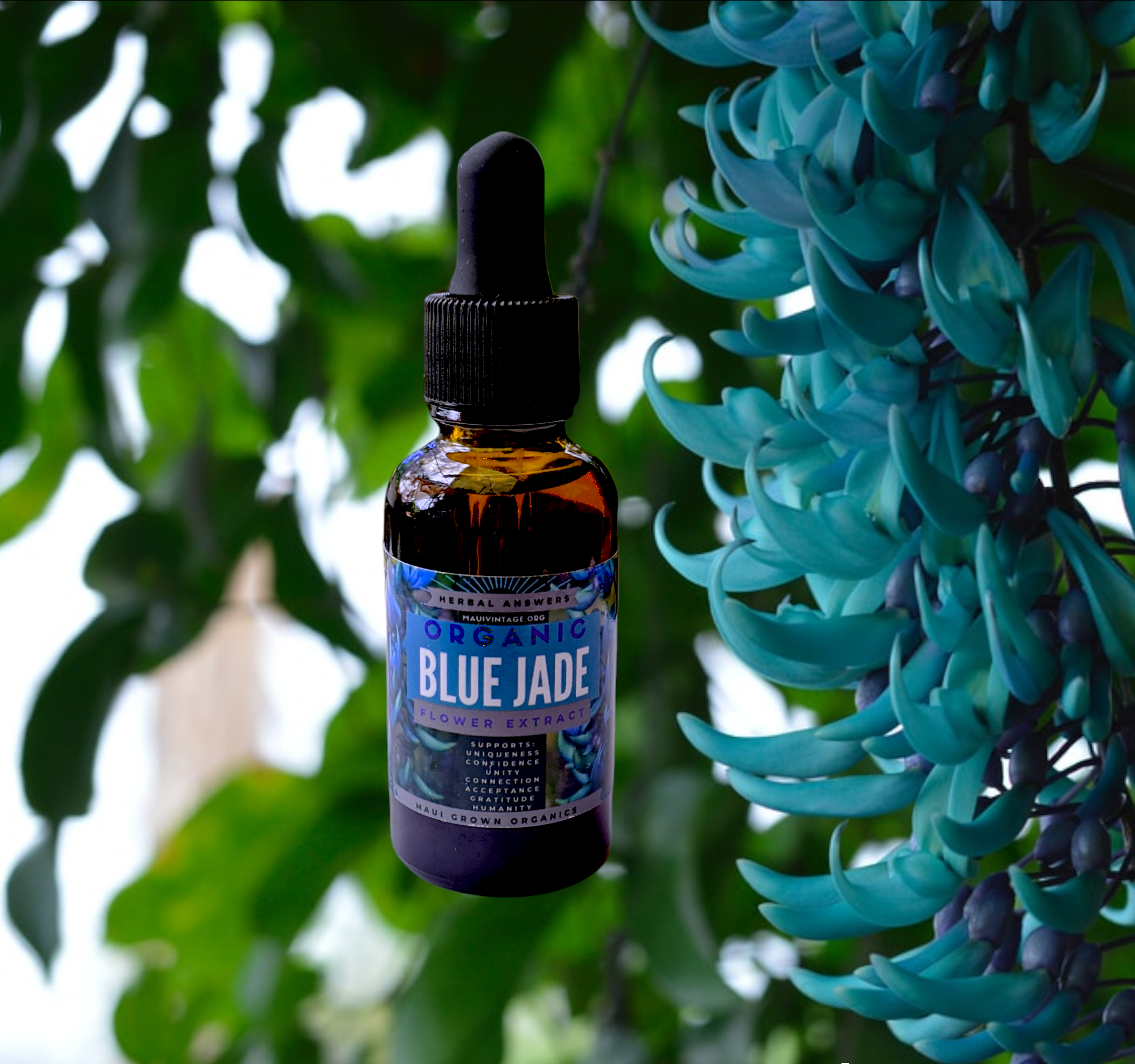Organic Blue Jade Tincture 