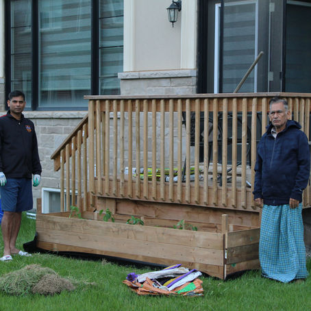 Embrace Sustainability: Starting Positive Change from Home