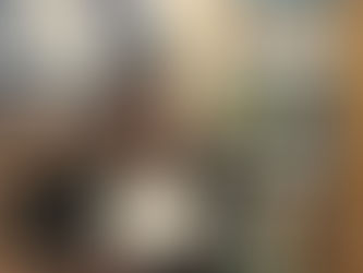 Career Online High School