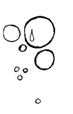 image000000(14)_edited.png