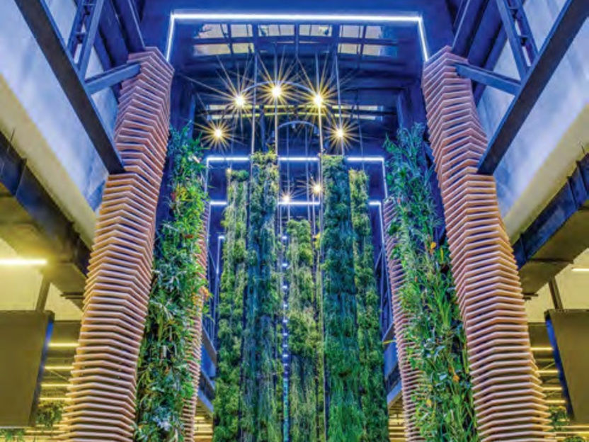 ECOPARADA MADERO - CASTELLO BRANCO